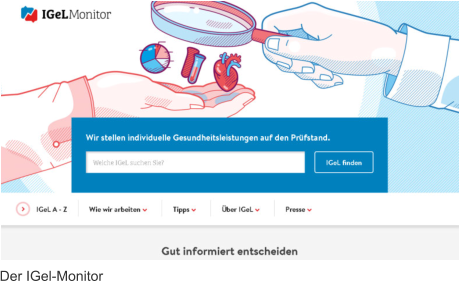 Der IGel-Monitor