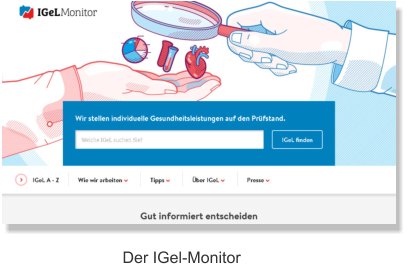 Der IGel-Monitor