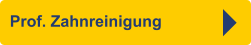 Prof. Zahnreinigung